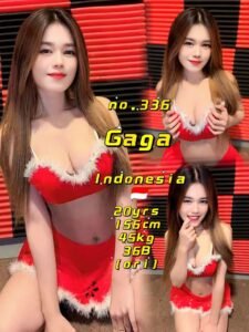 Picture of 336 Gaga