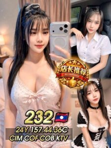 Picture of 232 Toufu