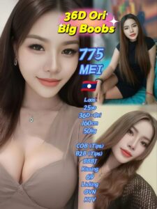 Picture of 775 Mey