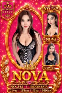 Picture of 342 Nova