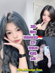 Picture of 305 Mey