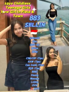 Picture of 883 Sellin